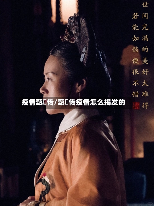疫情甄嬛传/甄嬛传疫情怎么揭发的