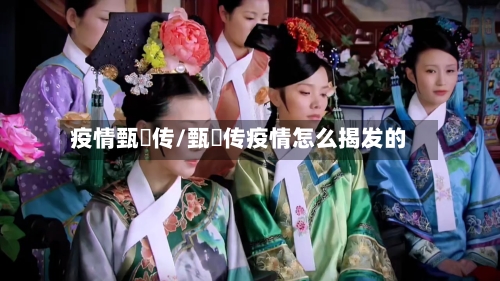 疫情甄嬛传/甄嬛传疫情怎么揭发的-第3张图片