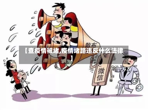 【查疫情被堵,疫情堵路违反什么法律】-第2张图片