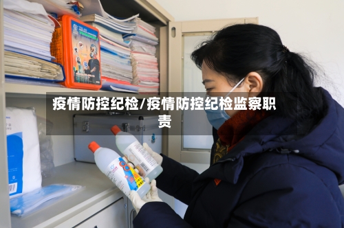 疫情防控纪检/疫情防控纪检监察职责