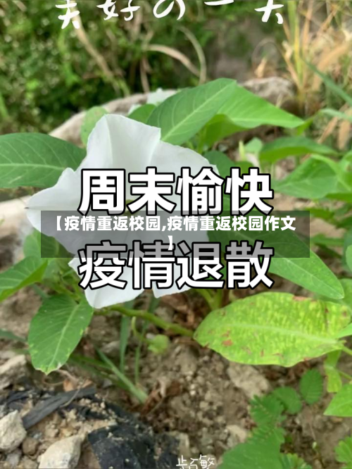 【疫情重返校园,疫情重返校园作文】-第2张图片
