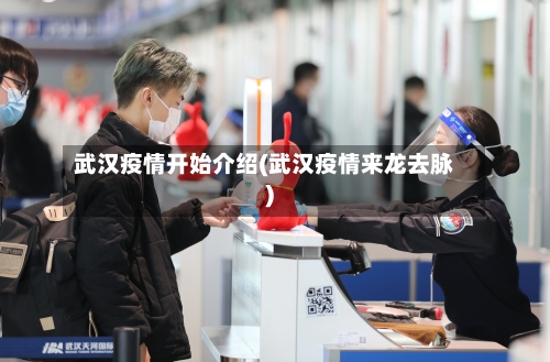 武汉疫情开始介绍(武汉疫情来龙去脉)
