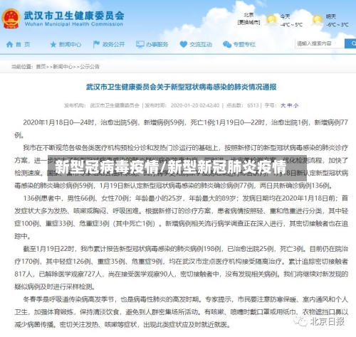 新型冠病毒疫情/新型新冠肺炎疫情-第2张图片