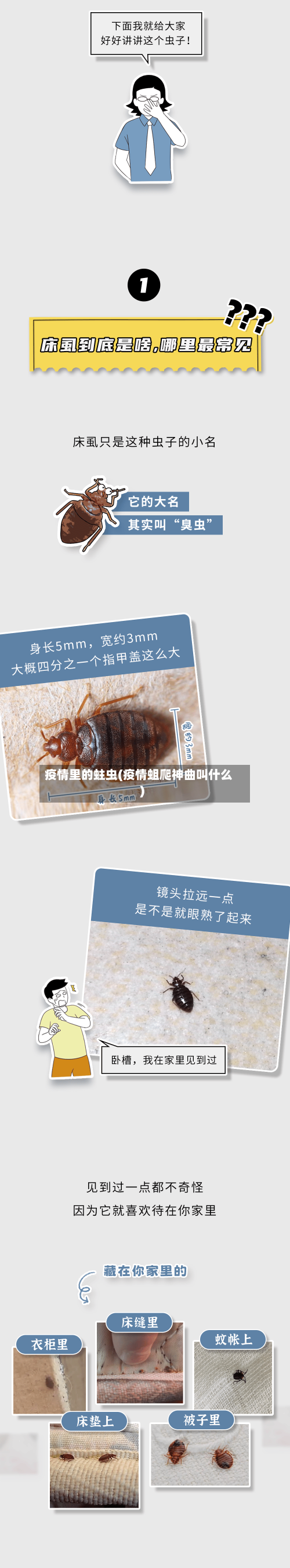 疫情里的蛀虫(疫情蛆爬神曲叫什么)