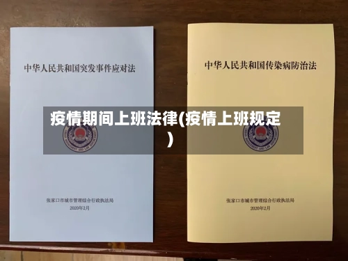 疫情期间上班法律(疫情上班规定)