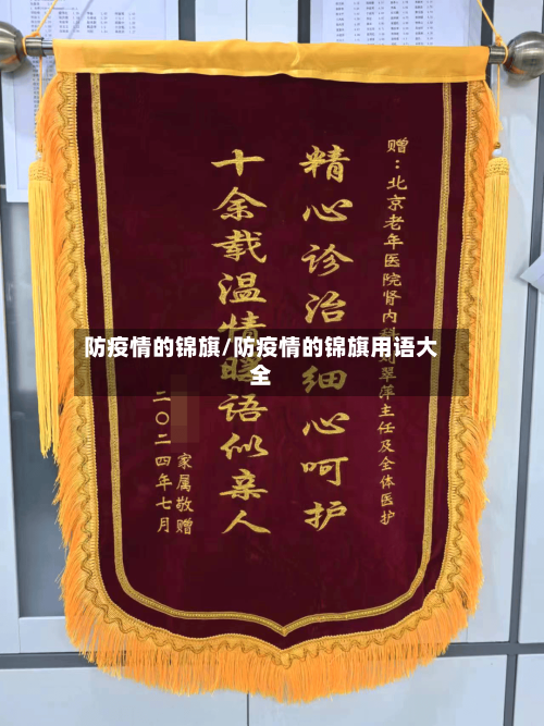 防疫情的锦旗/防疫情的锦旗用语大全-第2张图片