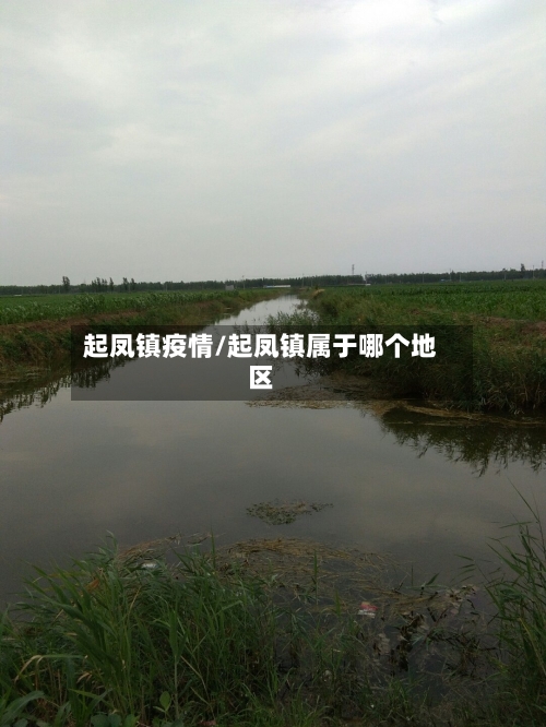 起凤镇疫情/起凤镇属于哪个地区-第3张图片