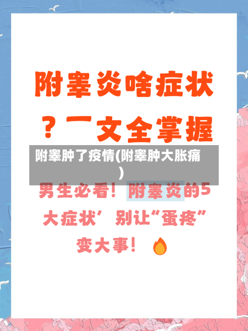 附睾肿了疫情(附睾肿大胀痛)-第3张图片