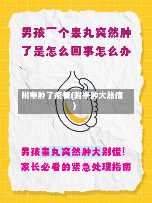 附睾肿了疫情(附睾肿大胀痛)