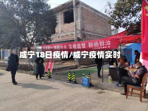 咸宁18日疫情/咸宁疫情实时-第2张图片