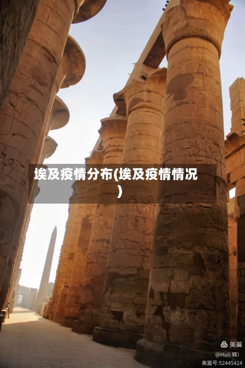 埃及疫情分布(埃及疫情情况)-第2张图片