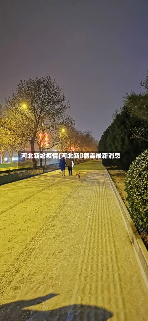 河北新纶疫情(河北新蒄病毒最新消息)