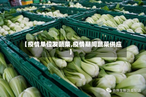 【疫情单位发蔬菜,疫情期间蔬菜供应】-第3张图片