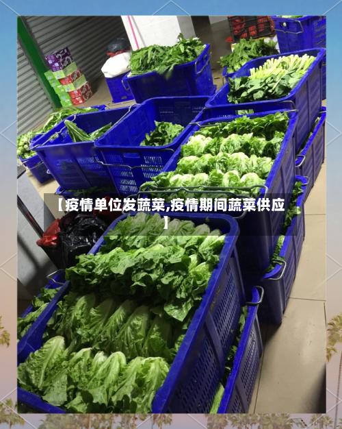 【疫情单位发蔬菜,疫情期间蔬菜供应】