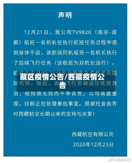 藏区疫情公告/西藏疫情公告-第2张图片