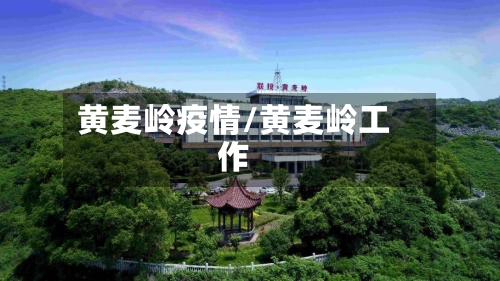 黄麦岭疫情/黄麦岭工作-第2张图片