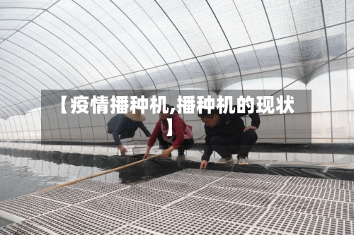 【疫情播种机,播种机的现状】-第2张图片
