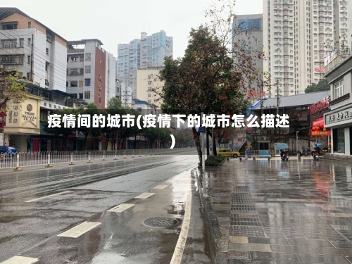 疫情间的城市(疫情下的城市怎么描述)-第3张图片