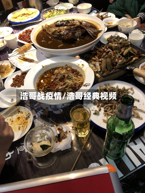 浩哥战疫情/浩哥经典视频