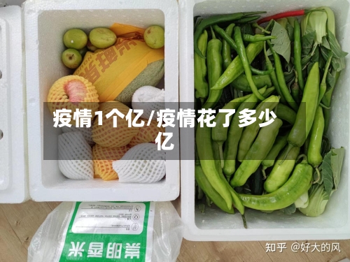 疫情1个亿/疫情花了多少亿-第2张图片