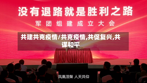 共建共克疫情/共克疫情,共促复兴,共谋和平