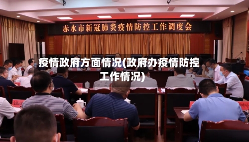 疫情政府方面情况(政府办疫情防控工作情况)