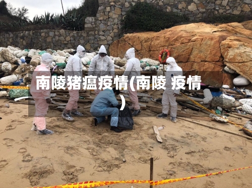 南陵猪瘟疫情(南陵 疫情)