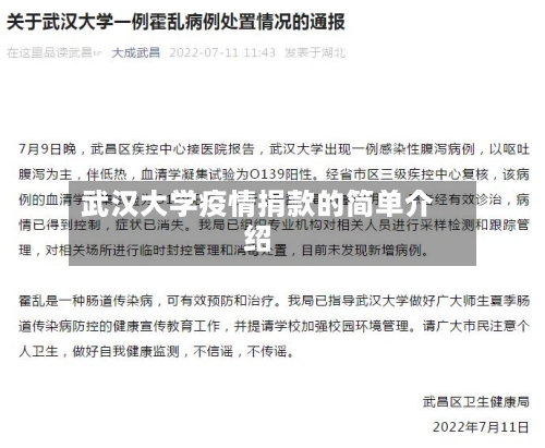 武汉大学疫情捐款的简单介绍