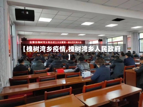 【槐树湾乡疫情,槐树湾乡人民政府】