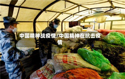 中国精神战疫情/中国精神在抗击疫情-第2张图片