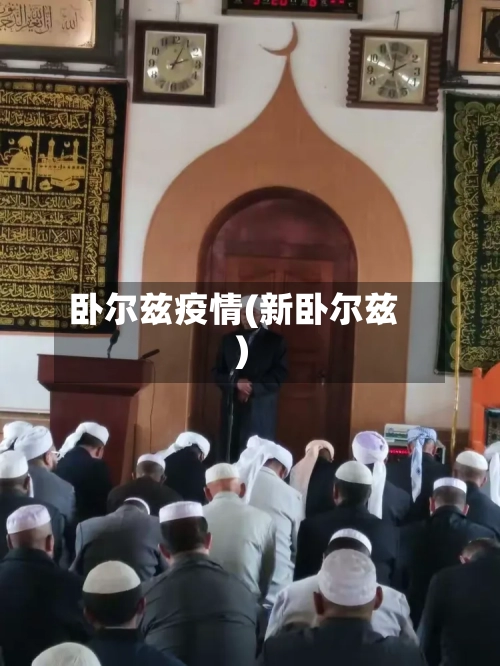 卧尔兹疫情(新卧尔兹)