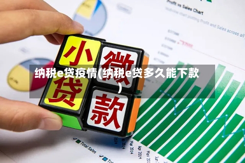 纳税e贷疫情(纳税e贷多久能下款)