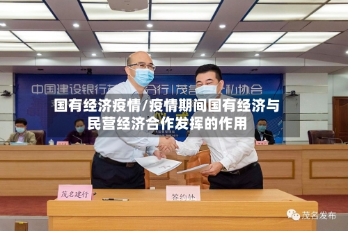 国有经济疫情/疫情期间国有经济与民营经济合作发挥的作用