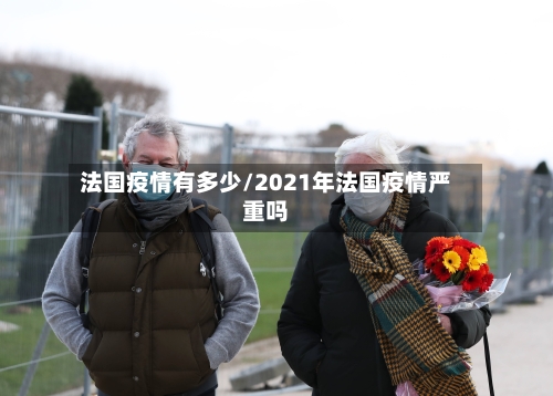 法国疫情有多少/2021年法国疫情严重吗