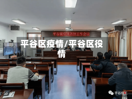 平谷区疫情/平谷区役情-第3张图片