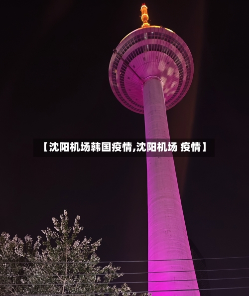 【沈阳机场韩国疫情,沈阳机场 疫情】