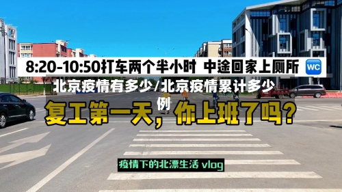 北京疫情有多少/北京疫情累计多少例