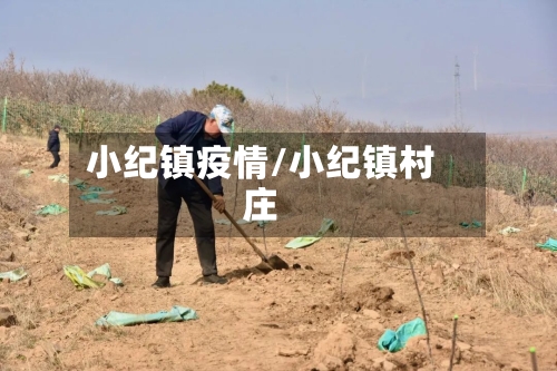 小纪镇疫情/小纪镇村庄-第2张图片