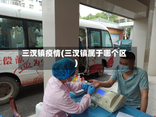 三汊镇疫情(三汊镇属于哪个区)-第2张图片