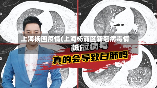 上海杨园疫情(上海杨浦区新冠病毒情况)-第3张图片