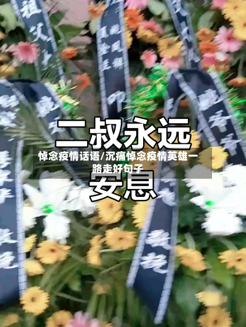悼念疫情话语/沉痛悼念疫情英雄一路走好句子