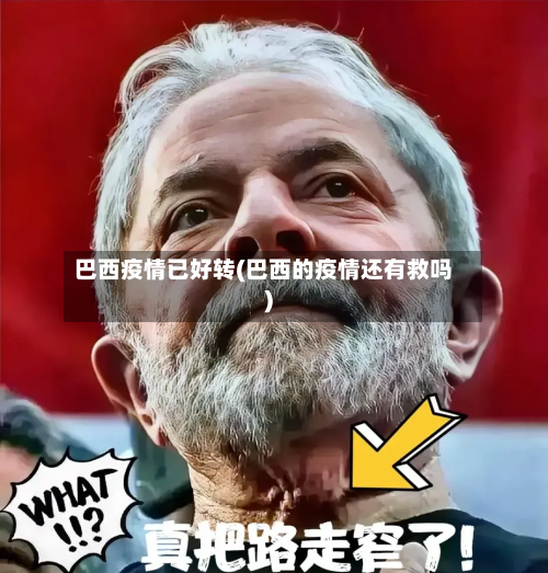 巴西疫情已好转(巴西的疫情还有救吗)-第2张图片