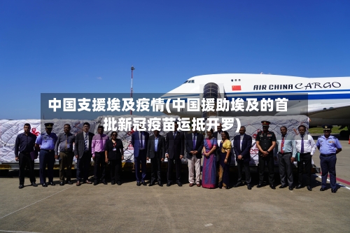 中国支援埃及疫情(中国援助埃及的首批新冠疫苗运抵开罗)-第3张图片