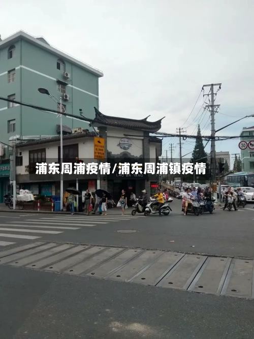 浦东周浦疫情/浦东周浦镇疫情