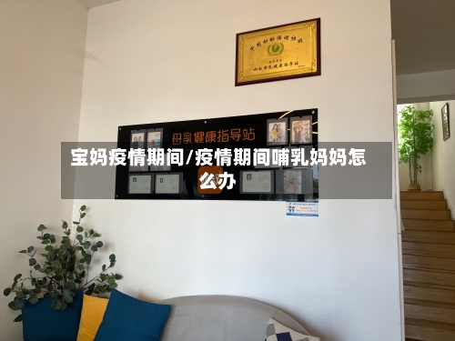 宝妈疫情期间/疫情期间哺乳妈妈怎么办