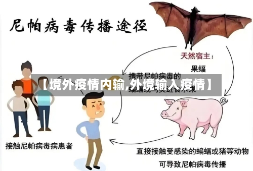 【境外疫情内输,外境输入疫情】