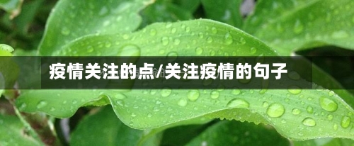 疫情关注的点/关注疫情的句子