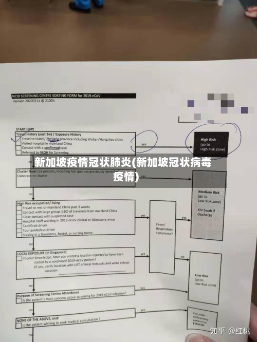 新加坡疫情冠状肺炎(新加坡冠状病毒疫情)