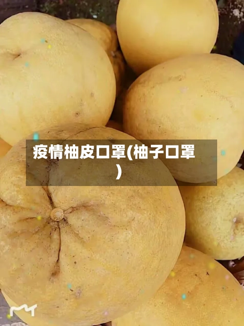 疫情柚皮口罩(柚子口罩)-第2张图片