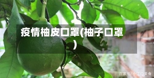 疫情柚皮口罩(柚子口罩)-第3张图片